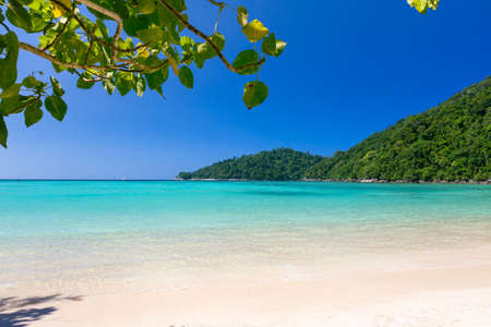Beautiful Tropical Islandの写真素材