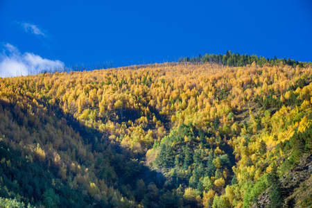 Autumn wading Daocheng.の写真素材