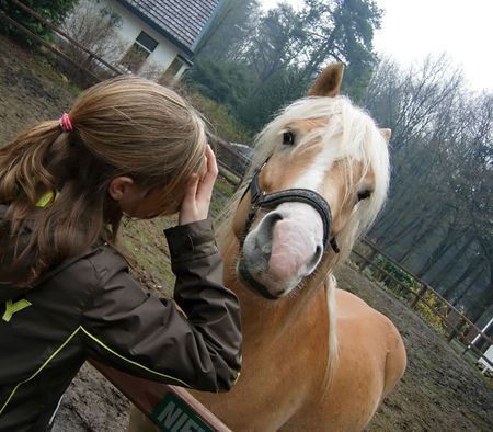 girl and horseの写真素材