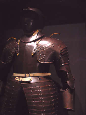 heraldryの写真素材