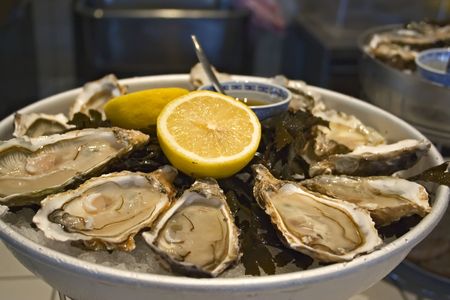 oysters