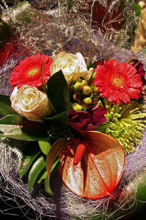winter bouquetの写真素材