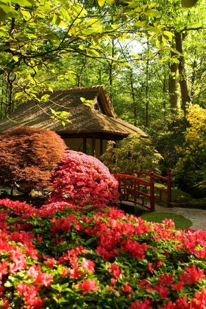 meditation area in japanese gardenの写真素材