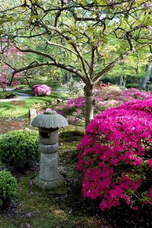 meditation zone in Japanese garden の写真素材