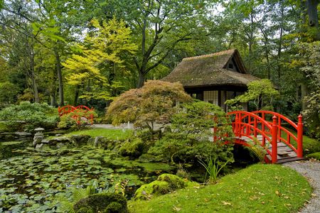 colors of autumn in japanese gardenの写真素材