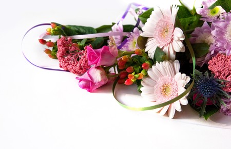 Background of different spring flowers on whiteの写真素材
