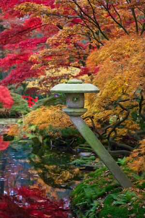 Japanese park by seasonal autumn time