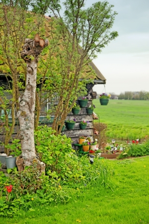 typical dutch landscape in spring dayの写真素材