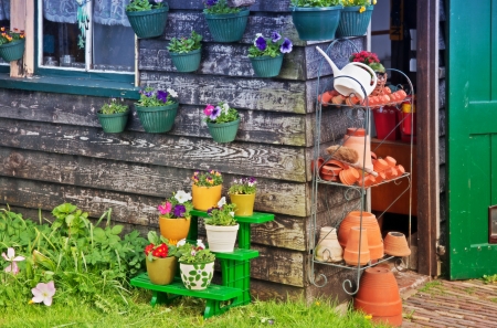 home flowers pots の写真素材