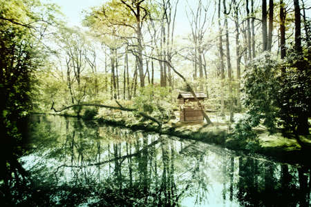 spring morning in Japanese gardenの写真素材