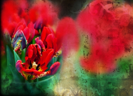 flowers post cardの写真素材