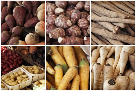 collage from different roots vegetablesの写真素材