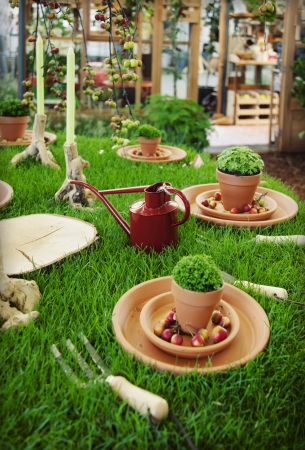 seasonal table decoration with decorative grassの写真素材