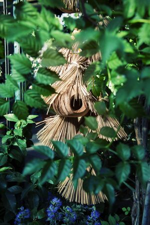 green background of straw bird houseの写真素材