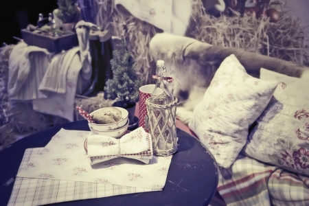 picnic in country styleの写真素材
