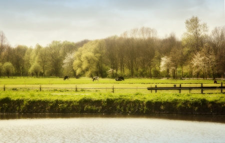 dutch country side by springの写真素材