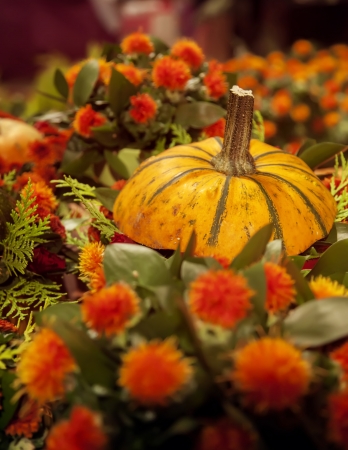 orange color of pumpkinの写真素材