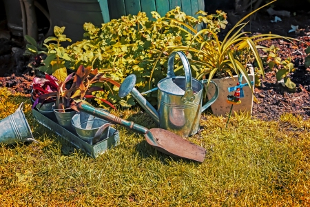 still life of garden tools and plantsの写真素材