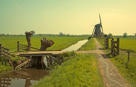 spring in dutch countryside with windmillの写真素材