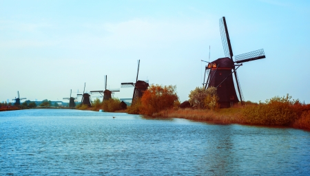 typical dutch landscapeの写真素材