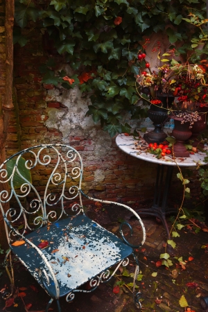 evening in seasonal autumn gardenの写真素材