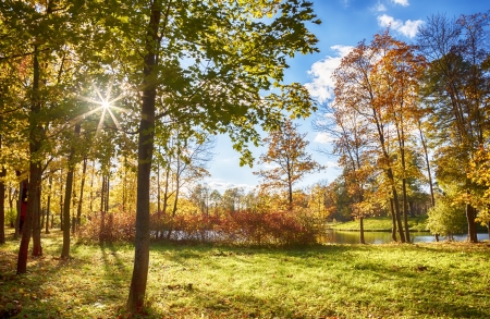 seasonal image of autumn in city parkの写真素材