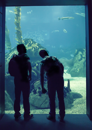 silhouette of people in big oceanarium 