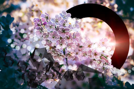 Death and birth, conceptual background. Image toned and vignettedの写真素材