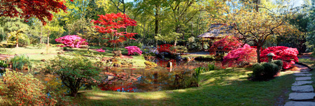 nature background panorama in Japanese parkの写真素材