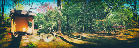 nature background panorama in Japanese parkの写真素材