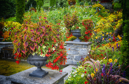 decorative flower vase in garden, image tonedの写真素材