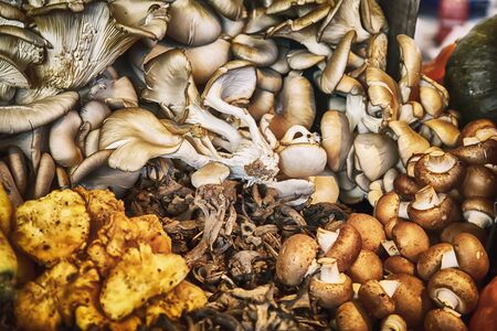 background from different mushroomsの写真素材