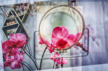 multiple exposure of flowers, soft focusの写真素材
