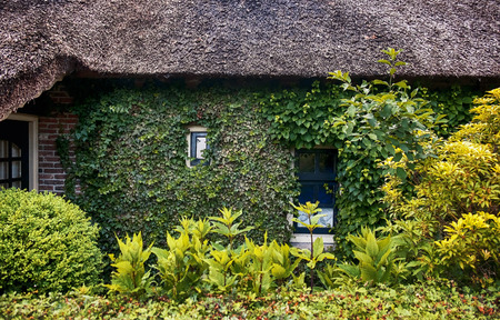 antique yard and green facade in old dutch villageの写真素材