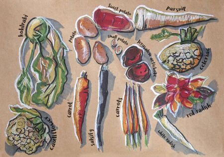 different food components, ink, markers and pencils original drawing on craft paperの写真素材