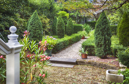 old city yard, dutch house garden, the Hagueの写真素材