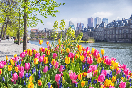 historical center of  the Hague city, springの写真素材