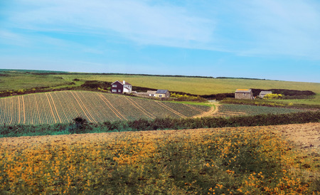 country side and summer landscape in Cornwall, UK