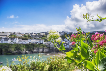 View at Old Village Port Isaac, Cornwallの写真素材