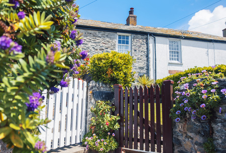 garden and old house, old village Port Isaacの写真素材