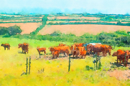 summer landscape in Cornwall, UK, watercolor styleの写真素材
