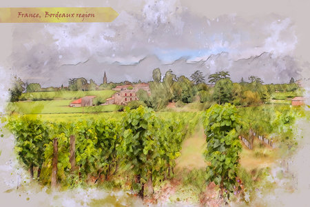 countryside of Bordeaux region, France, in watercolor sketch style for using for postcard or illustrationの写真素材
