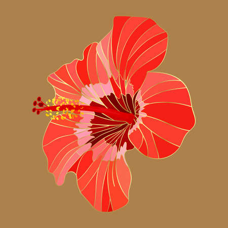 Red hibiscus isolated on beige background. Single floral pattern, Golden split floral leaf, golden lines, Vector illustration.のイラスト素材
