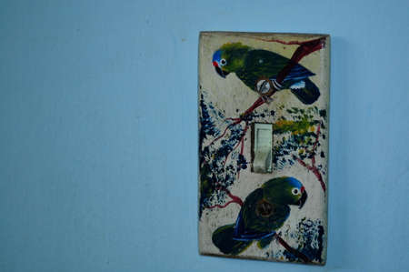Light switch cover decorated with parrots painted by handの写真素材
