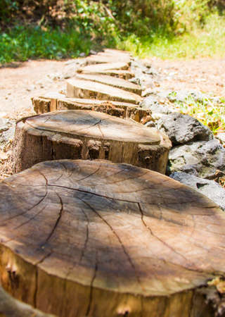 Log pathの写真素材