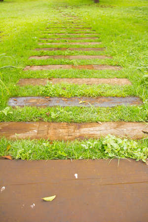 green pathの写真素材