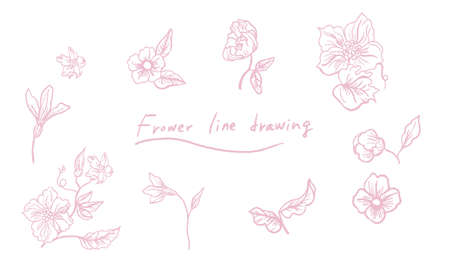 Hand painted plant line drawing background materialのイラスト素材