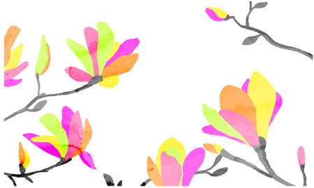 Watercolor style colorful magnolia background materialのイラスト素材