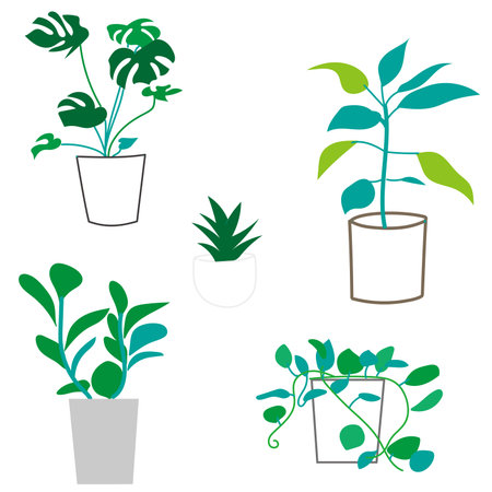 Set of vector line drawings of houseplantsのイラスト素材