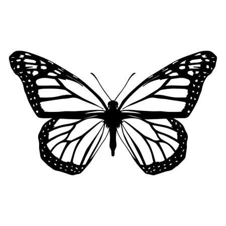 Isolated silhouette of a butterfly - Vector illustrationのイラスト素材